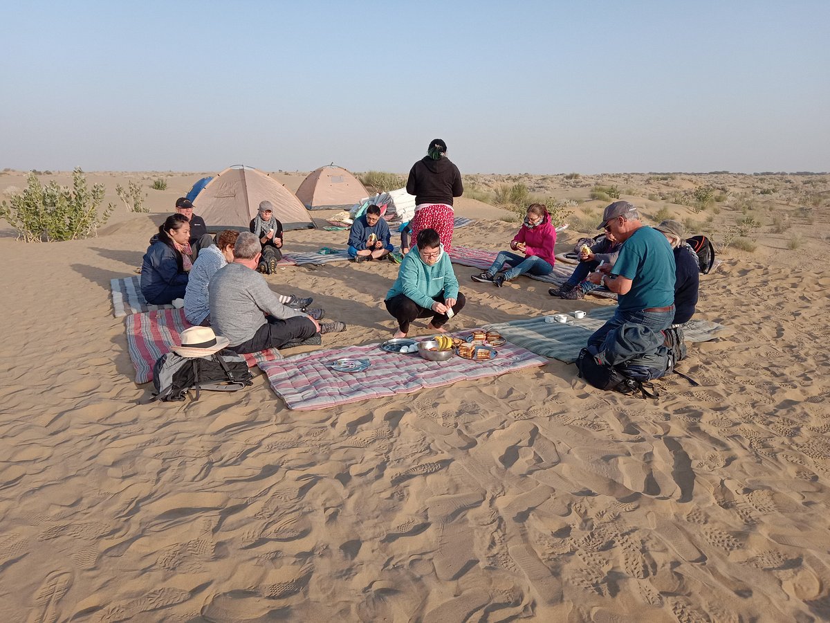 morning in dunes